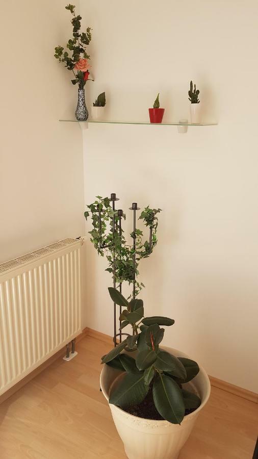 רגנסבורג Evi'S Apartment מראה חיצוני תמונה